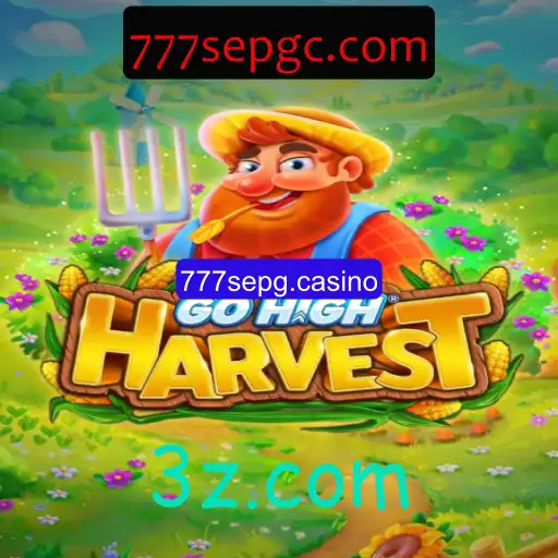 Explorando o Universo de GoHighHarvest: Jogo de Cassino Moderno